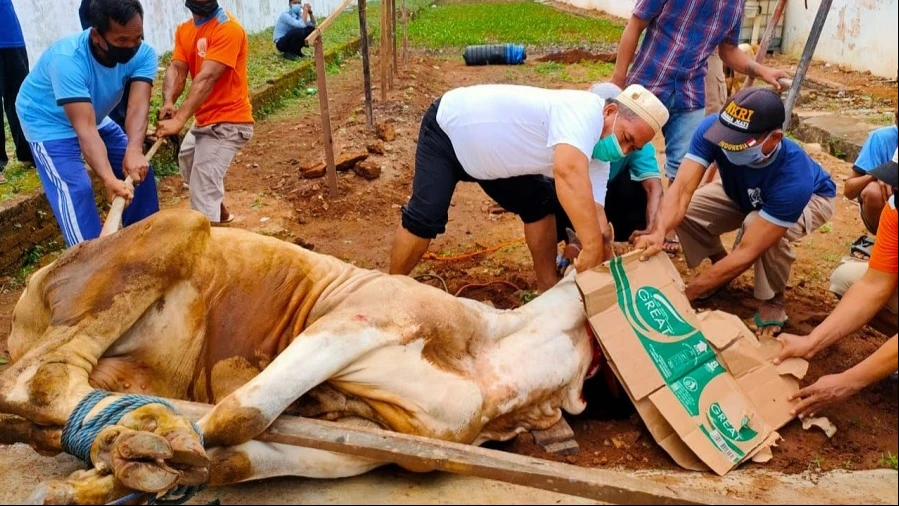 Hari Raya Idul Adha