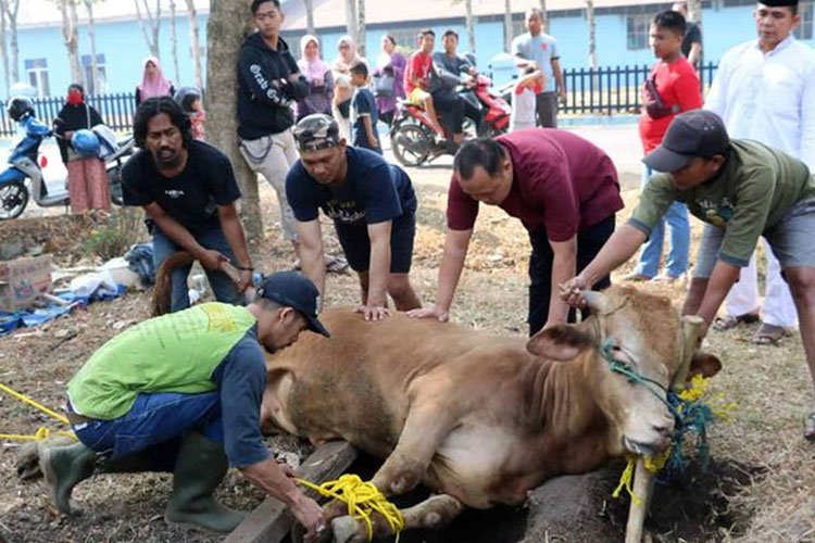 Hari Raya Idul Adha